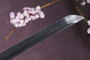 Koshū 孤舟 | Moonswords Katana | Clay-Tempered T10 Carbon Steel | KT19