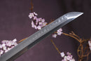 Clay-Tempered Katana – Ranka 乱華 With T10 Carbon Steel Blade | Authentic Samurai Sword