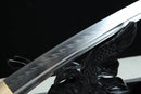 Byakuga 白牙 Clay-Tempered T10 Steel Shirasaya Tanto Blade on a black background