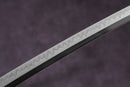 Matsukage 松影 Katana | Traditional Japanese Sword | T10 Carbon Steel | MoonSwords KT15