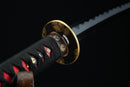 Close-up of the golden Tsuba, or handguard of Fuun Katana