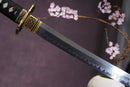 The Ranka 乱華 Premium Clay-Tempered T10 Steel Katana