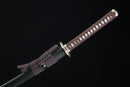 Sword with a decorative sheath on a black background