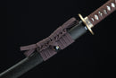 Sword with a brown leather sheath on a black background