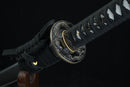 Close-up of a sword with a black leather sheath and decorative metal buckle on a dark background.