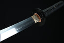 Sword with a black sheath on a dark background