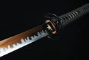 Sword with a black handle and gold emblem on a dark background