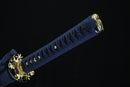 Sword with gold decorative hilt on a black background