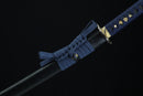 Sword with a blue scabbard on a black background