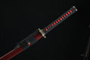 Sword with red and black sheath on a dark background