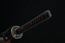 Sword with black sheath featuring red and gold accents on a dark background