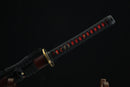 Sword with black sheath featuring red accents on a dark background