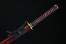 Sword with a black and red handle on a black background