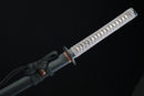 Close-up of a white sword with black sheath on a dark background