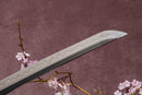 A close-up view of a sharp, pointed blade with Hamon against a textured background.
