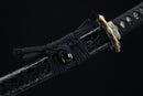 Sword with decorative sheath on a black background