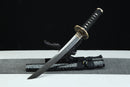 Sword with sheath on a black background