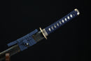 Sword with a blue sheath on a black background