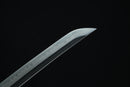 Ryūmori 龍守 Clay-Tempered T10 Steel Wakizashi