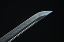 T10 Steel Wakizashi Clay Tempered Full Tang with Bronze Tsuba and Menuki (Shōryū 昇龍 )